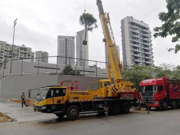 益阳市吊车公司_发生道路交通事故时正确的处理方式